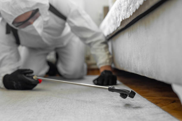 Professional Pest Control technician working in Florida, FL